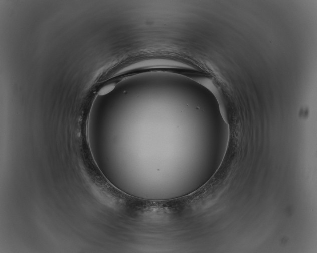X0000091640543200708231201
