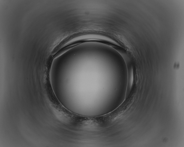 X0000091640544200708231201