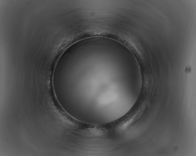 X0000091640545200708231201