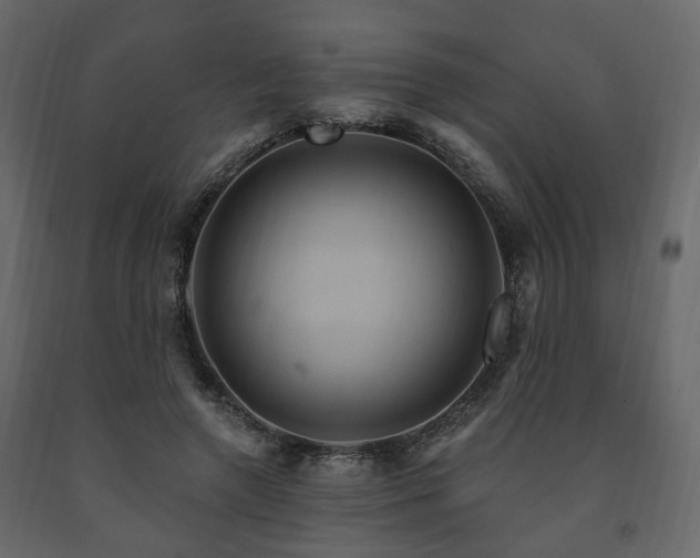 X0000091640546200708231201
