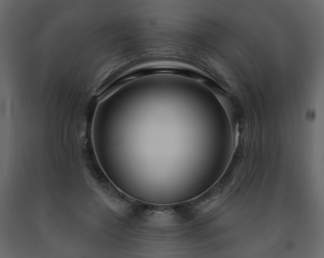 X0000091640548200708231201