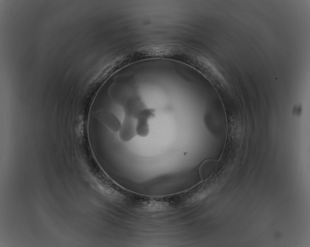 X0000091640549200708231201