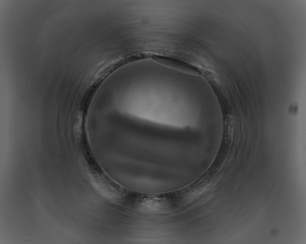 X0000091640550200708231201
