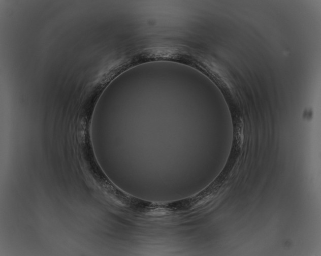 X0000091640551200708231201
