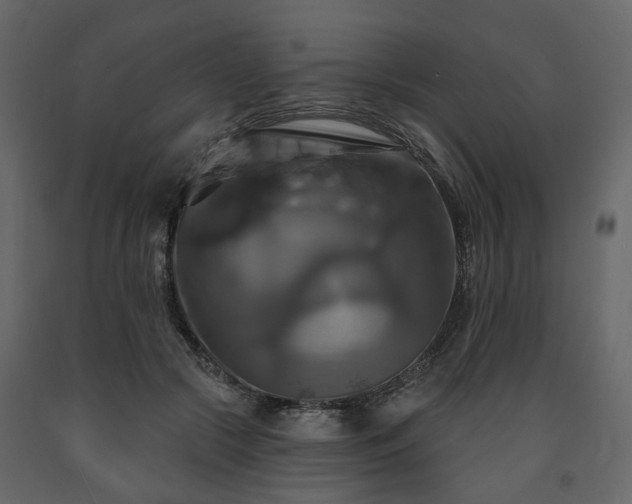 X0000091640553200708231201