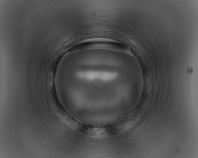 X0000091640554200708231201