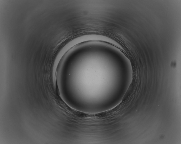 X0000091640556200708231201
