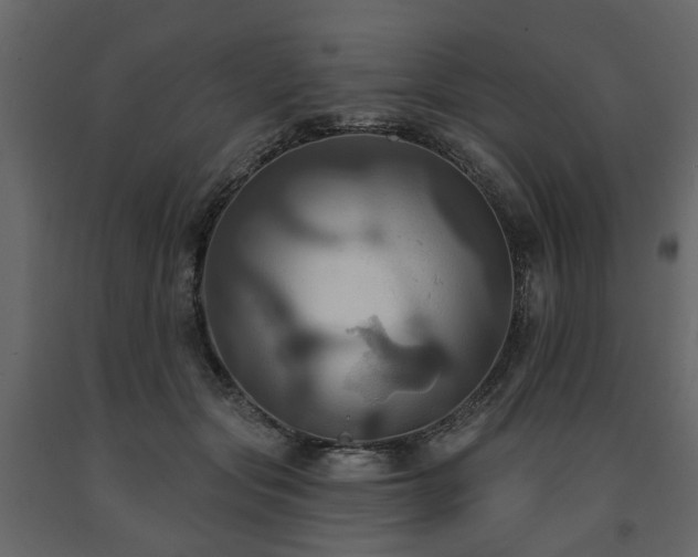 X0000091640557200708231201