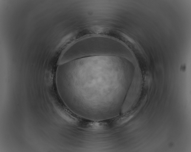 X0000091640558200708231201
