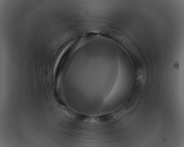 X0000091640559200708231201
