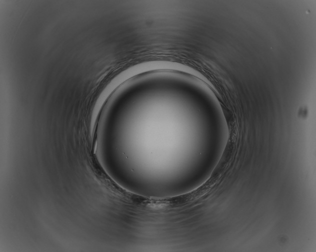 X0000091640560200708231201