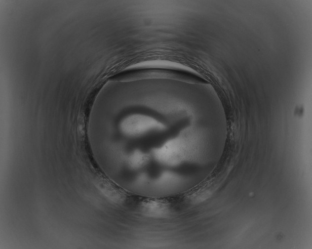 X0000091640561200708231201