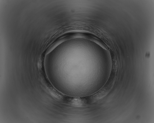 X0000091640562200708231201