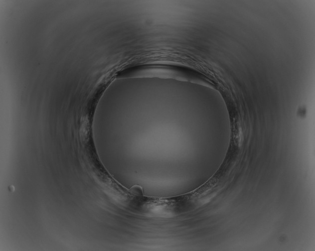 X0000091640563200708231201