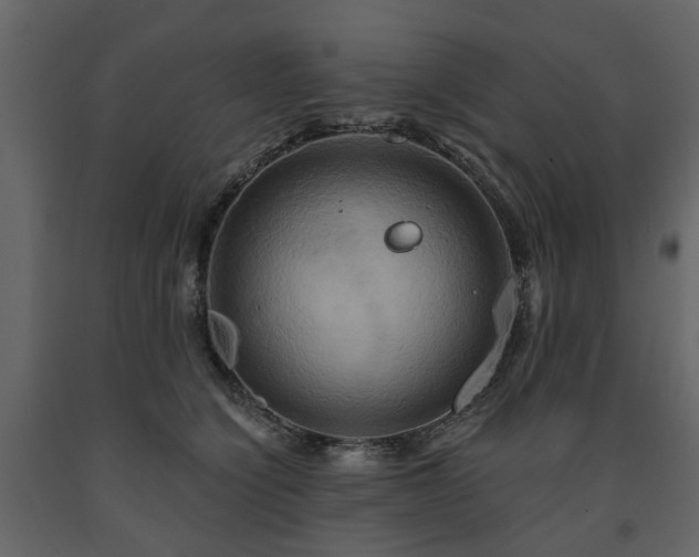 X0000091640564200708231201