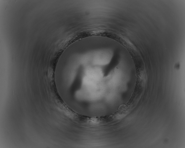 X0000091640565200708231201