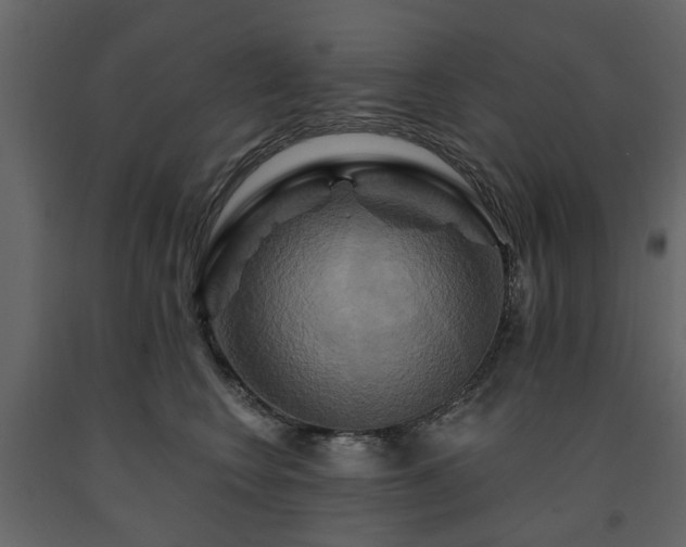 X0000091640566200708231201