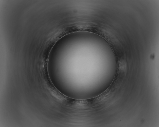 X0000091640567200708231201