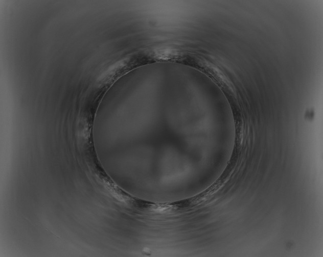 X0000091640569200708231201