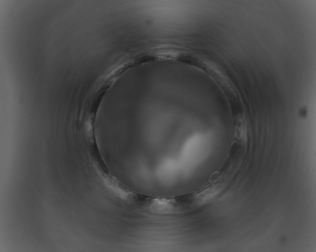X0000091640573200708231201