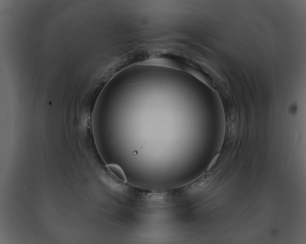 X0000091640574200708231201
