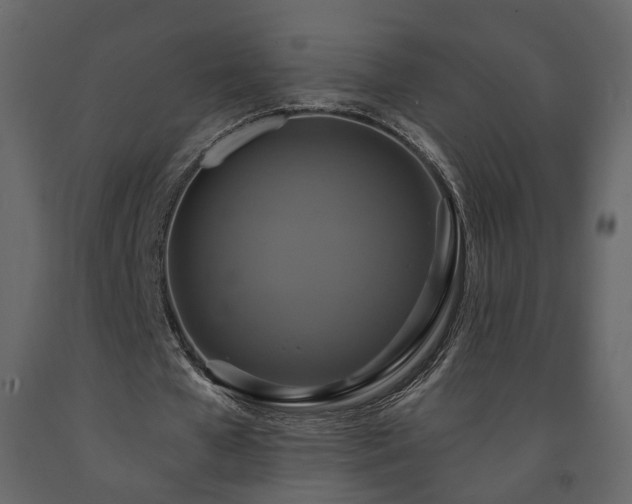 X0000091640577200708231200