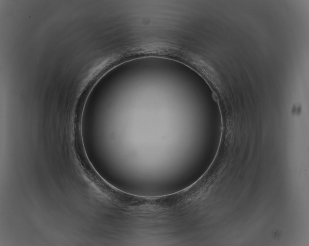 X0000091640578200708231200