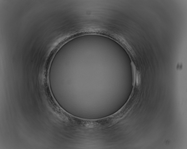 X0000091640579200708231200