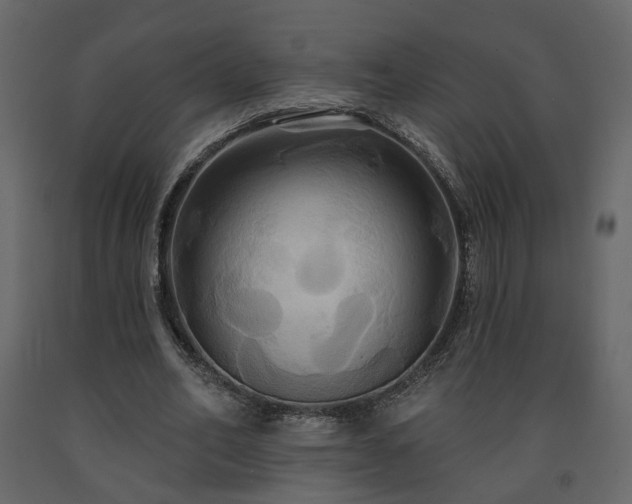 X0000091640582200708231200