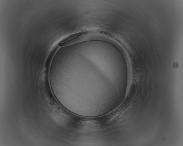 X0000091640583200708231200