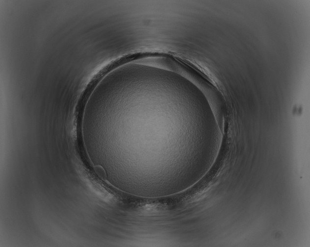 X0000091640584200708231200