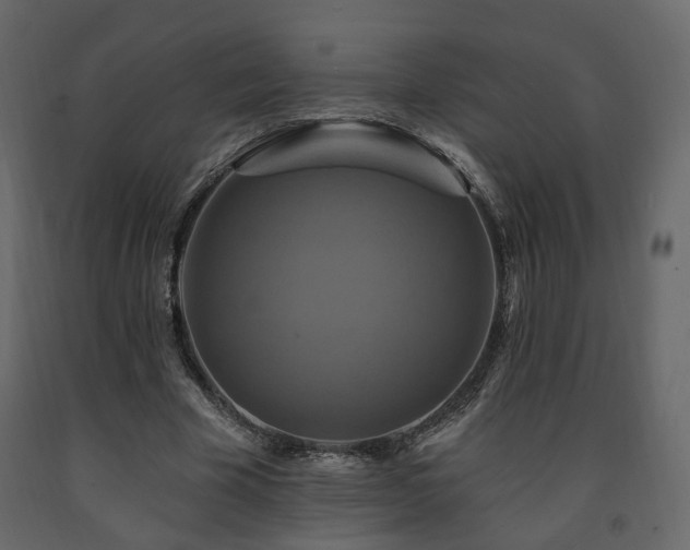 X0000091640585200708231200