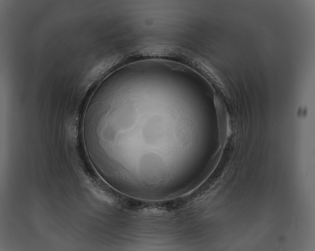 X0000091640586200708231200
