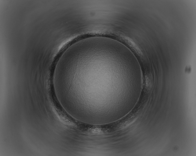 X0000091640588200708231200