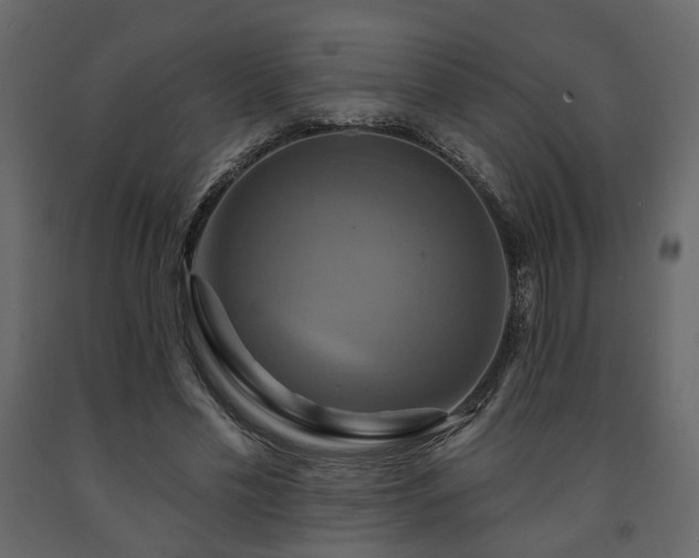 X0000091640589200708231200