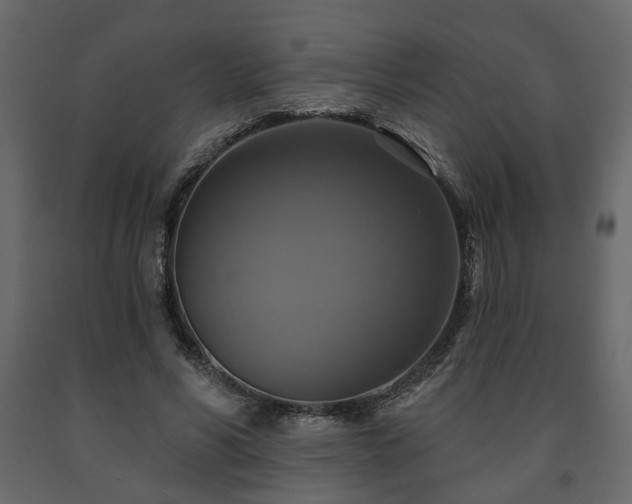 X0000091640590200708231200