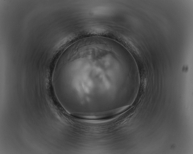 X0000091640591200708231200