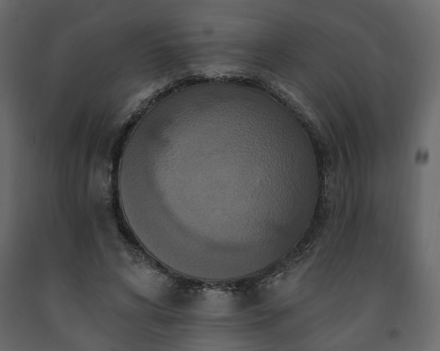 X0000091640592200708231200