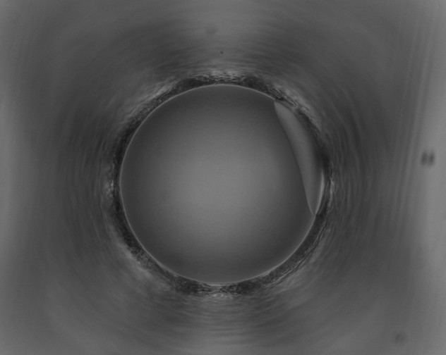 X0000091640593200708231200