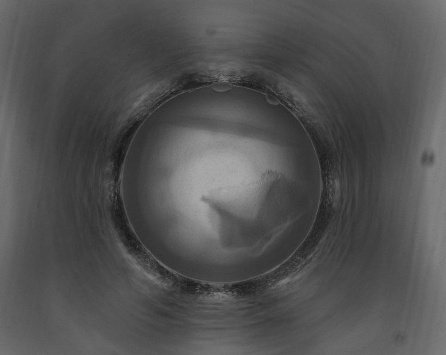 X0000091640594200708231200