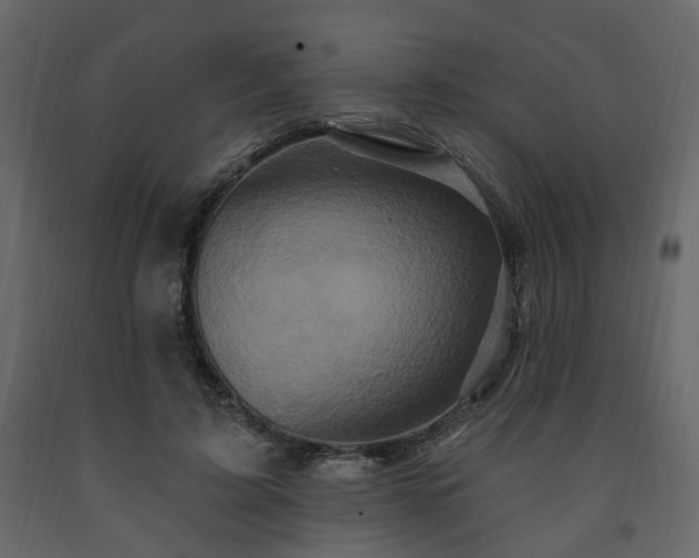 X0000091640595200708231200