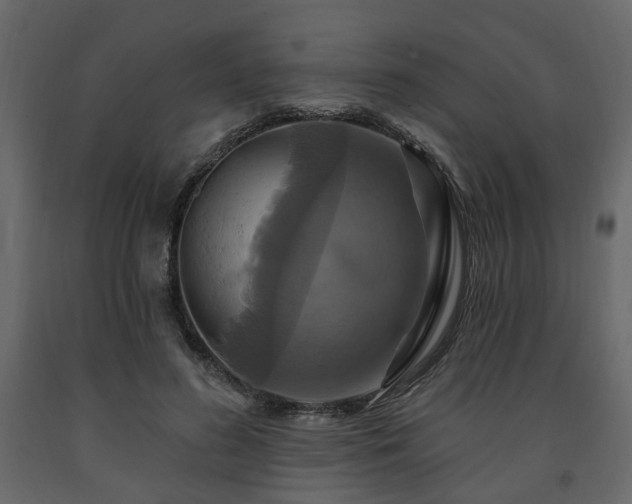 X0000091640596200708231200