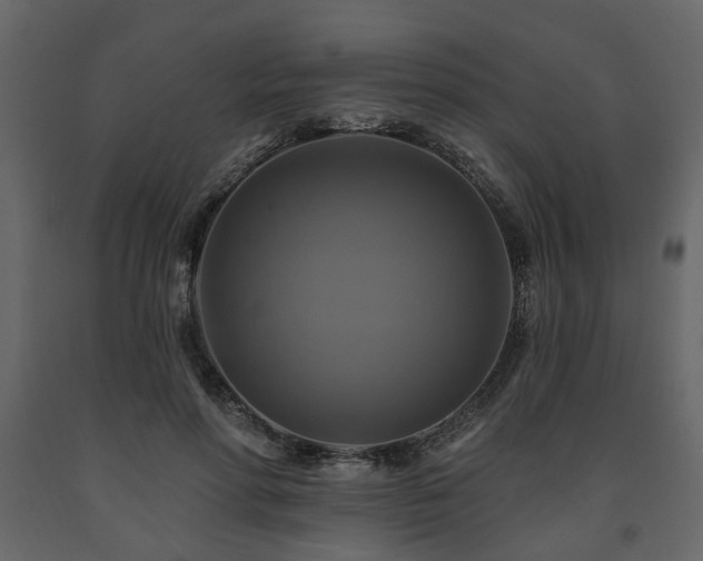X0000091640598200708231200
