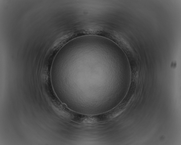 X0000091640599200708231200