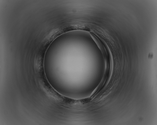 X0000091640600200708231200