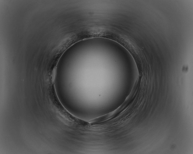 X0000091640601200708231200