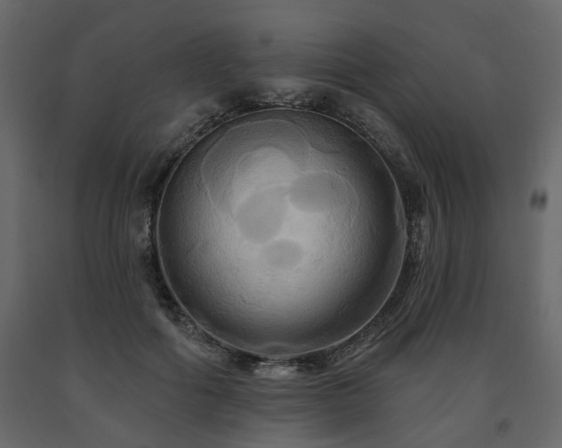 X0000091640602200708231200