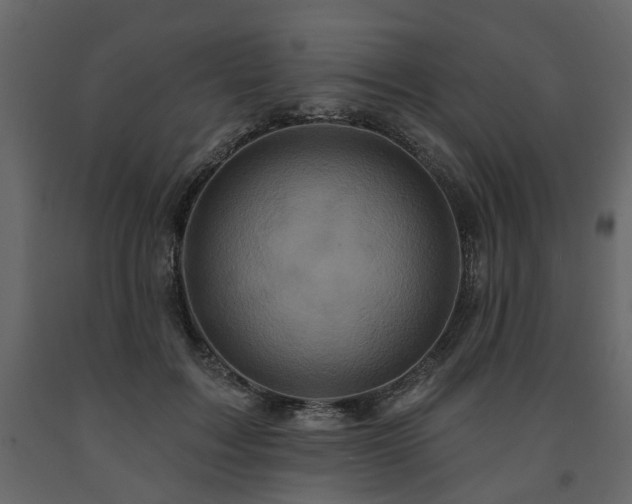 X0000091640603200708231200