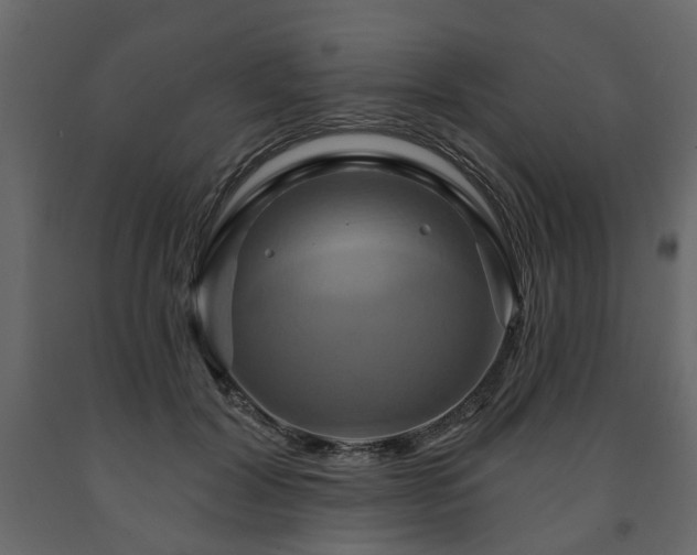 X0000091640604200708231200