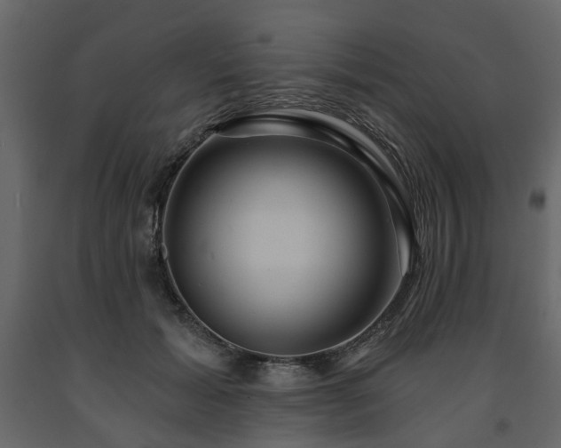 X0000091640605200708231200
